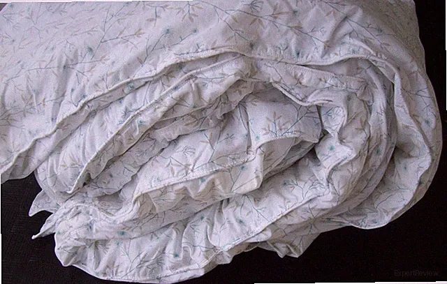 Company Store Delicate Blue/Tan Floral Comforter~Full Size~Cotton w/Poly Filling