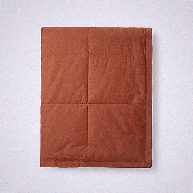 FLASH SALE!! The Company Store LoftAIRE Down Throw Blanket NEW