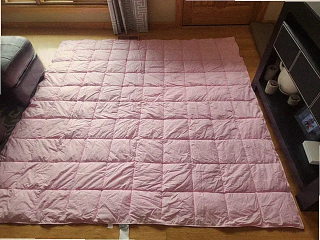 The Company Store Company Kids Primaloft Down Alternative Comforter*Queen*Read