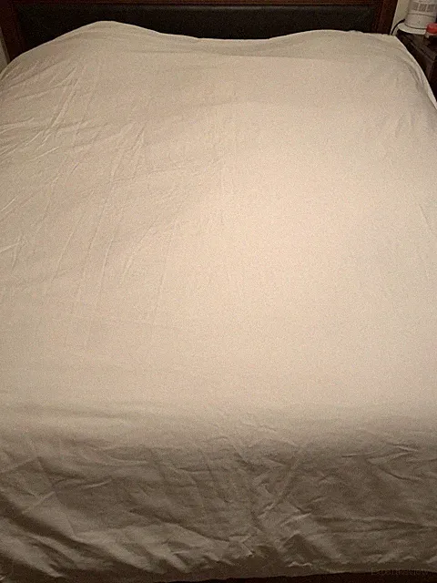 The Company Store COTTON Solid Duvet Cover - WHITE QUEEN