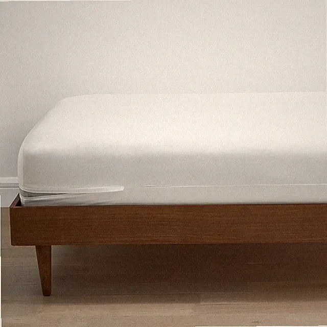 The company store Organic Cotton Sateen Mattress/Box Spring Protector|6954