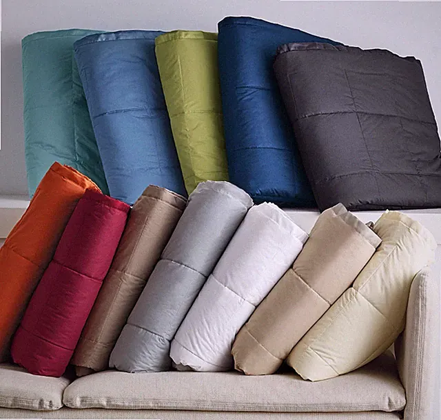 The Company store Premium Down Blanket
