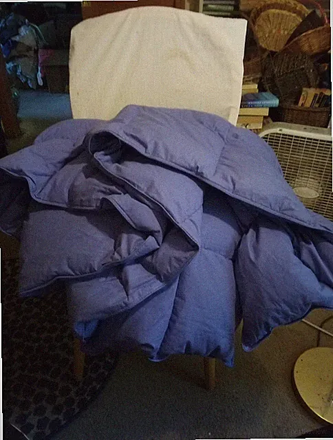 The Company Store Purple Comforter